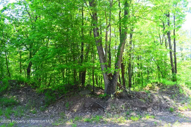 a view of a road with a building in the background