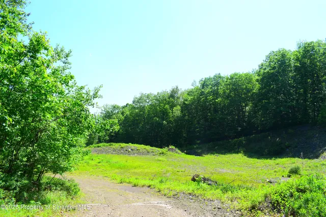 a view of a garden with small plants