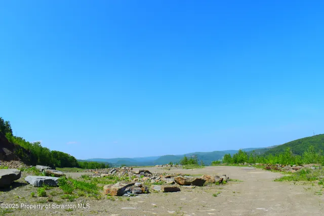 a view of a green yard