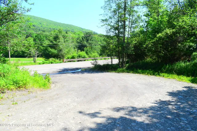 a view of a road with a yard