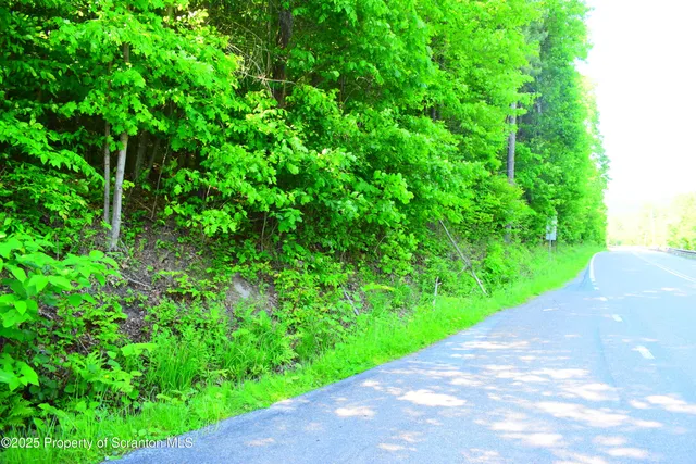 a view of yard with green space