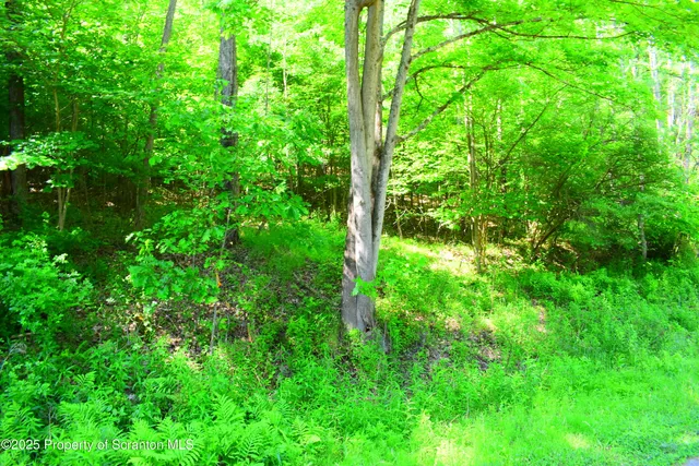 $525,000 | Pa-92, Susquehanna, PA 18847