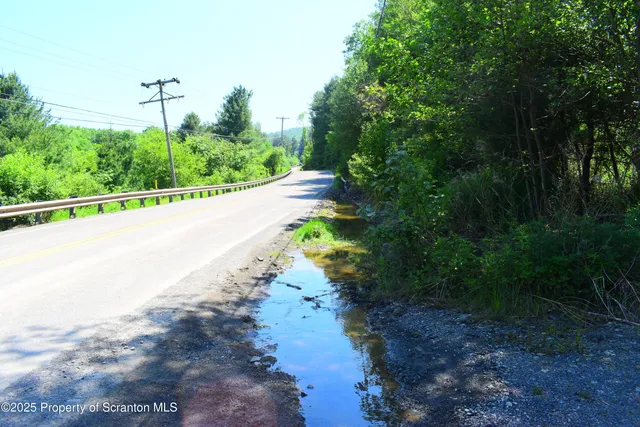 a view of a street with a yard and a fountain