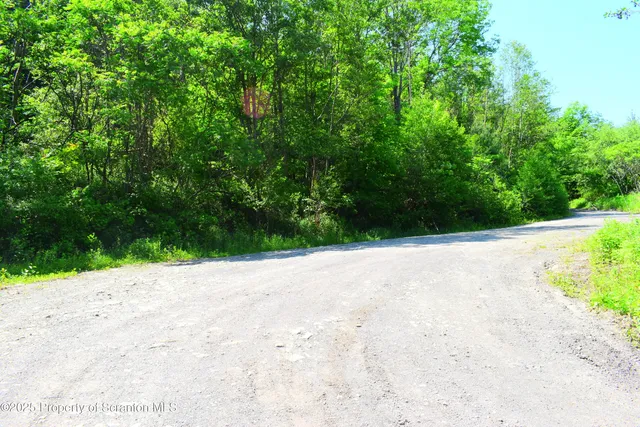 a view of a road with a yard
