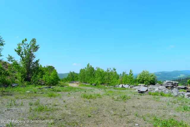 a view of a field of grass and trees