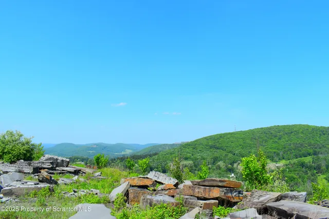 a view of a green field with lots of plants in it