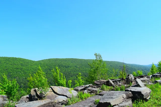 a view of a grassy field with trees