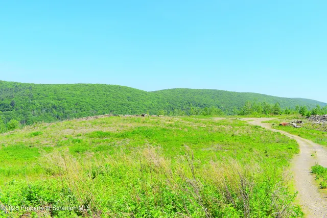 a view of a green field with lots of bushes