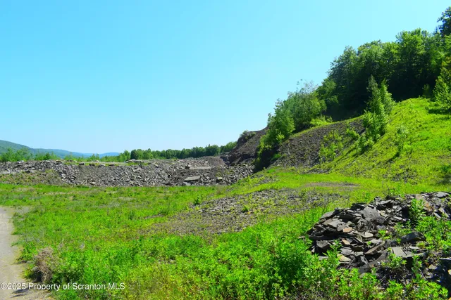 a view of a garden with a building in the background