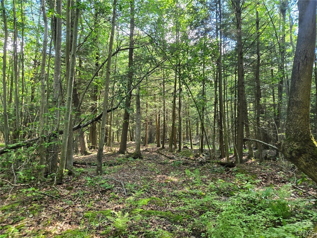 7988 Dowd Road Pike, NY 14735 - Photo 23 of 37