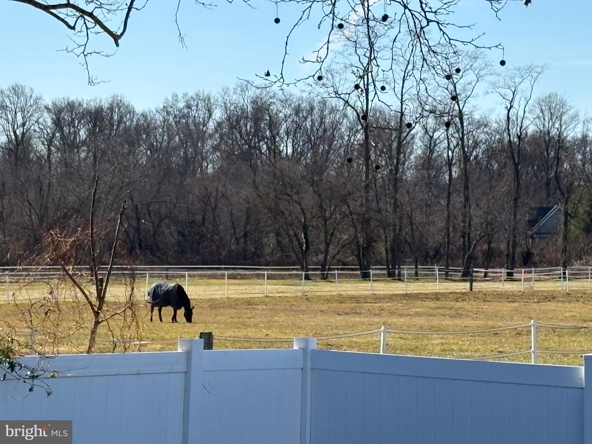 18 Crosswicks Chesterfield Road Crosswicks, NJ 08515 - Photo 16 of 20 Serene pasture with a grazing horse.