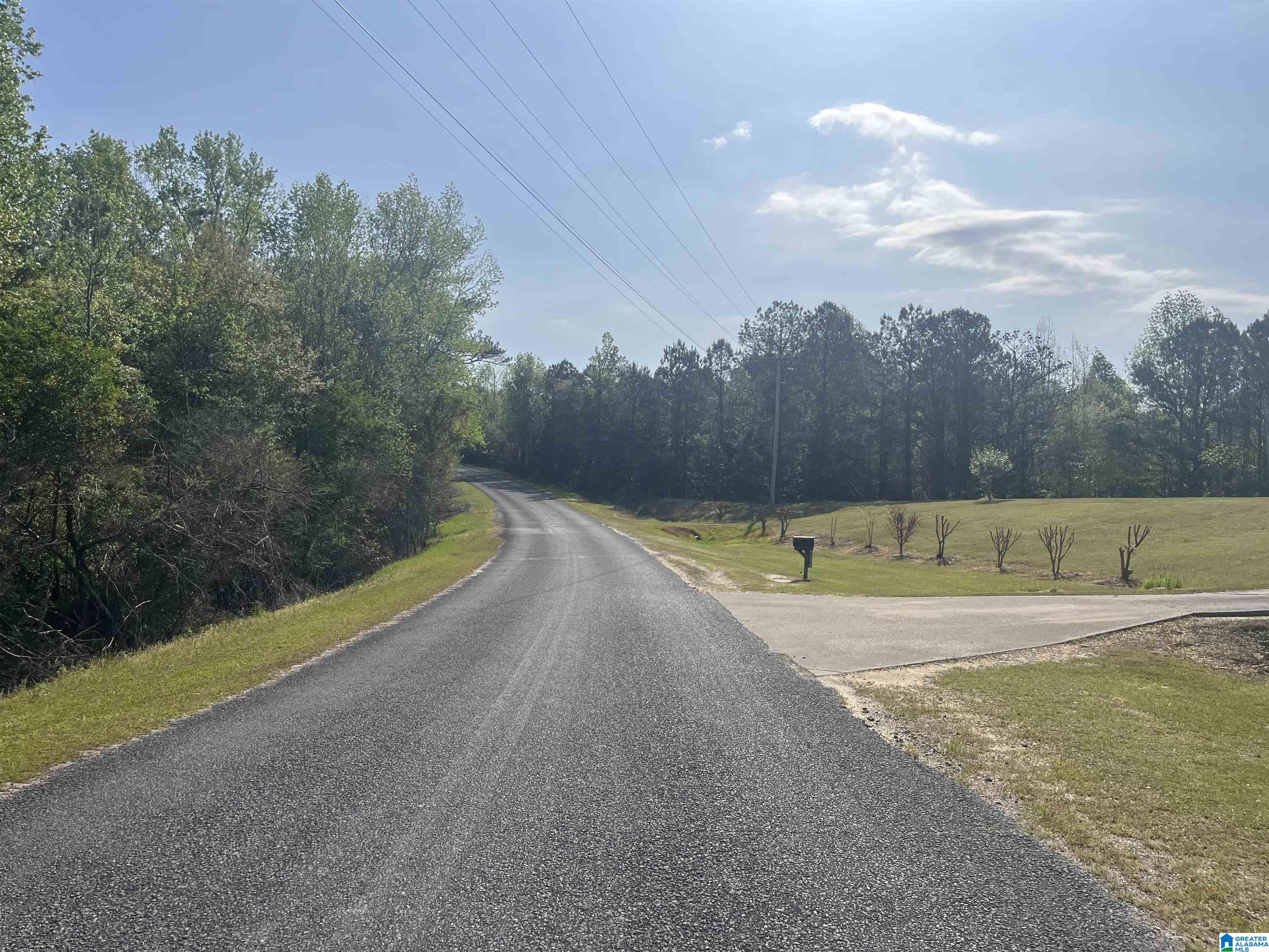 0 County Road 53, Unit 1 Clanton, AL 35045 - Photo 3 of 3