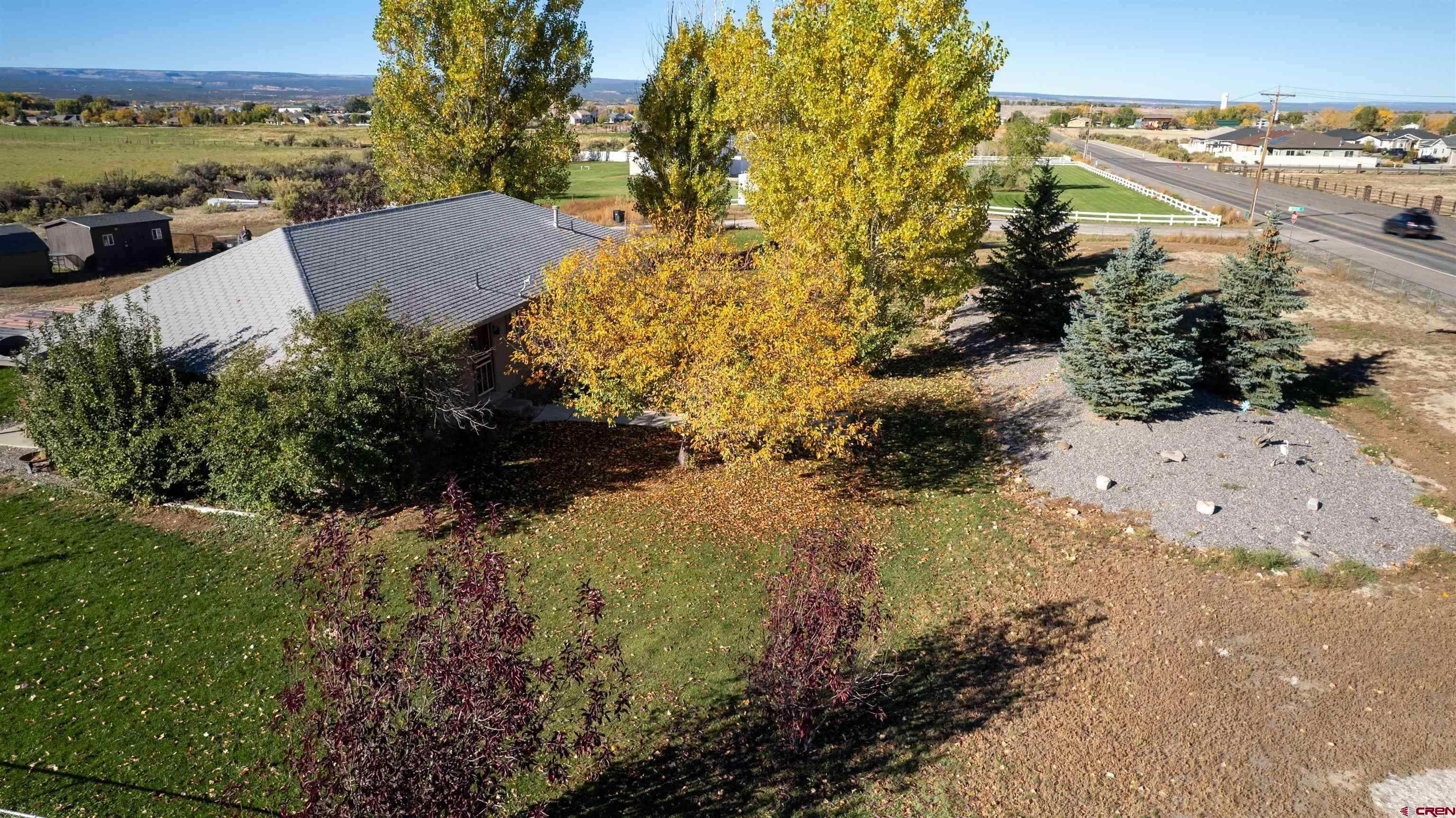 16400 6630 Road Montrose, CO 81401 - Photo 2 of 27 a view of a yard with plants and large trees