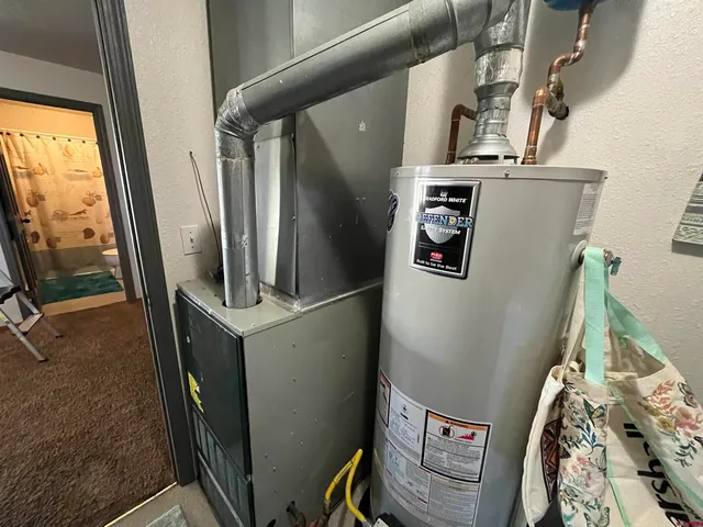 a view of a yard with plants and large trees