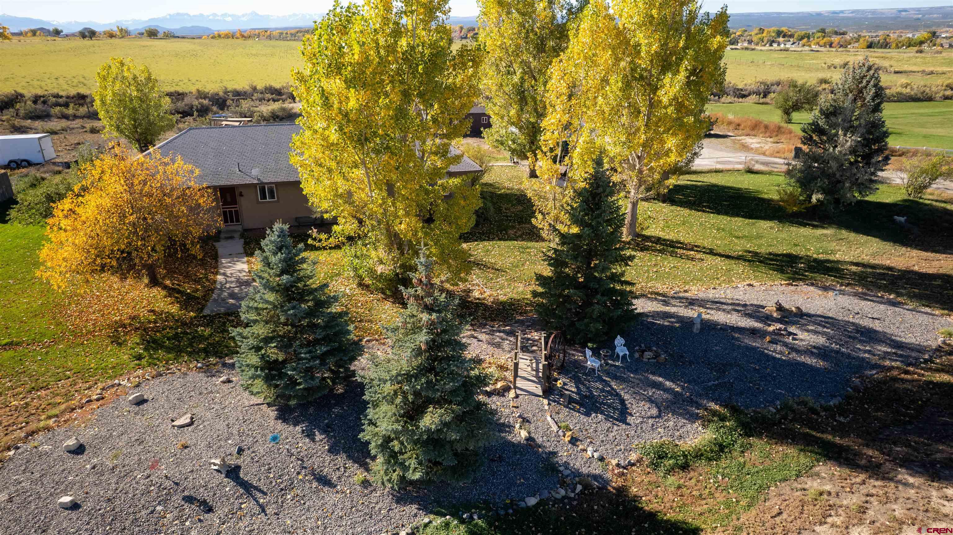16400 6630 Road Montrose, CO 81401 - Photo 26 of 27 a view of a yard with plants and large trees