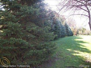 V/l Mt Morris Road Columbiaville, MI 48421 - Photo 4 of 11 mt morris 5