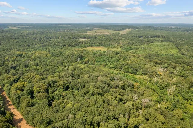 $325,000 | 12710 Fm 692, Burkeville, TX 75932