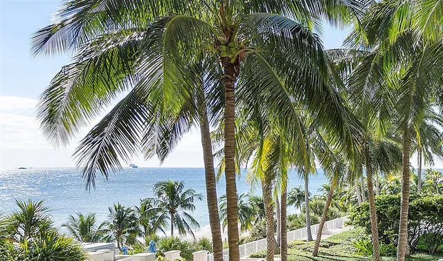 a view of outdoor space with palm trees