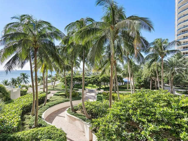 a garden view with palm trees