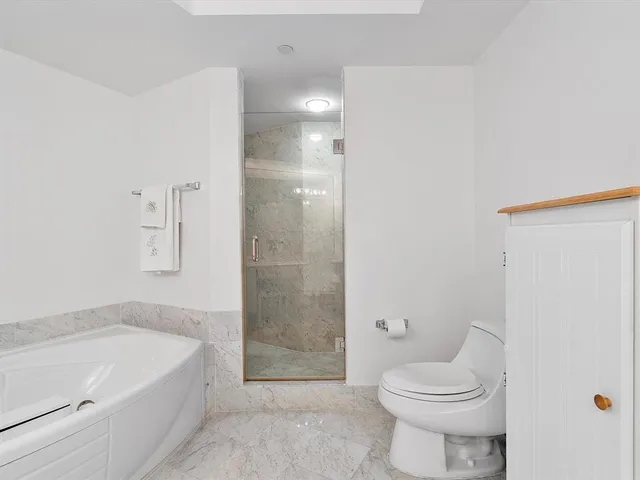 a bathroom with a bathtub and a toilet