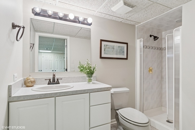 8S241 Dunham Drive Naperville, IL 60540 - Photo 21 of 27 a bathroom with a sink a toilet and shower