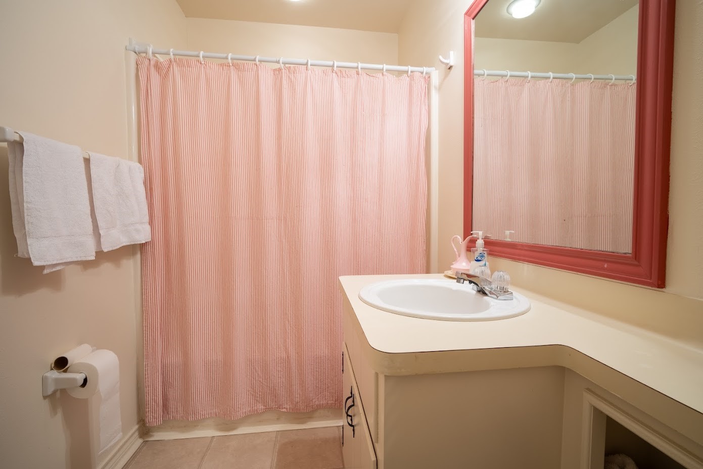 565 Timber Bay Drive Trinity, TX 75862 - Photo 24 of 49 a bathroom with a sink and a mirror