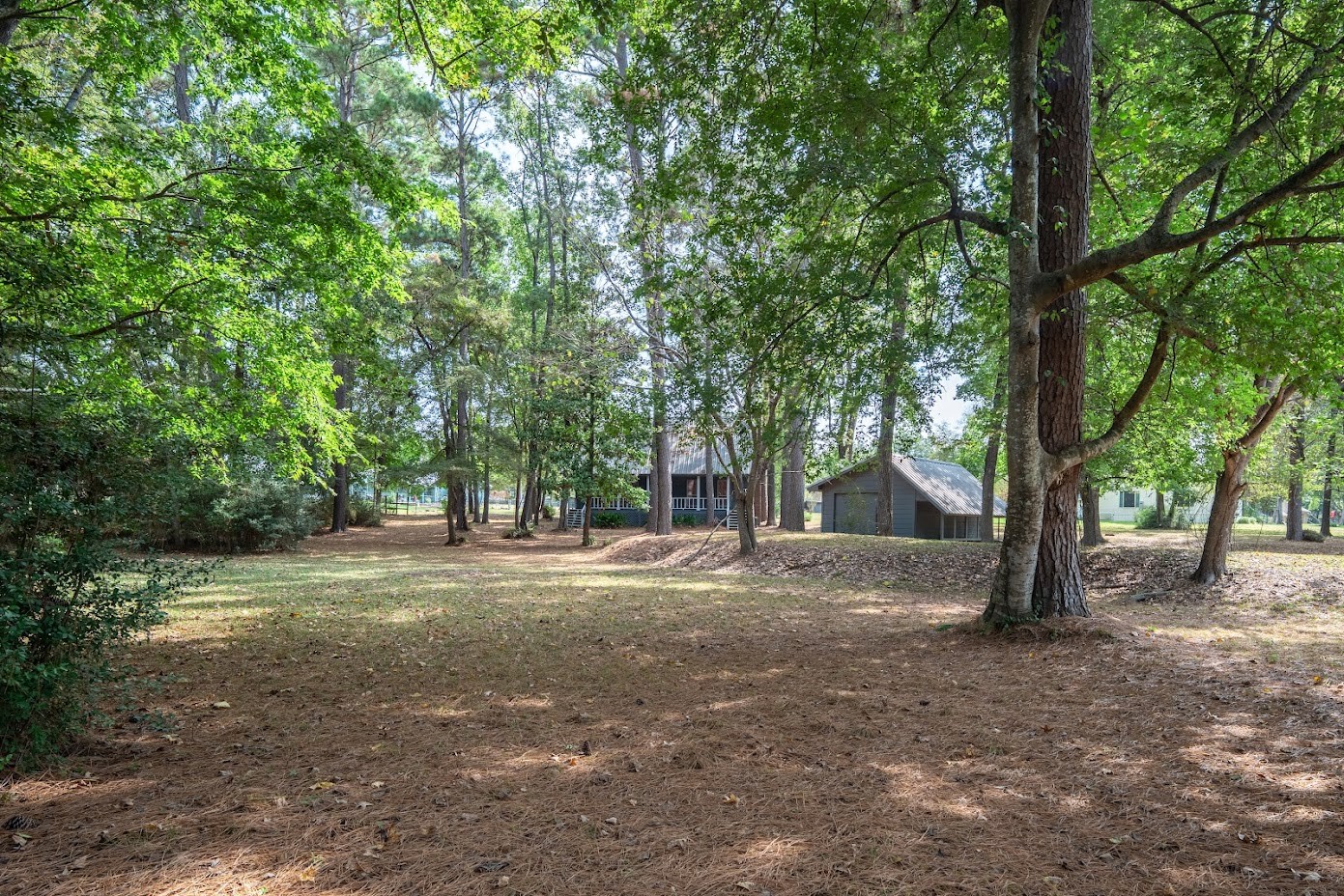 565 Timber Bay Drive Trinity, TX 75862 - Photo 40 of 49 a view of a yard with large trees