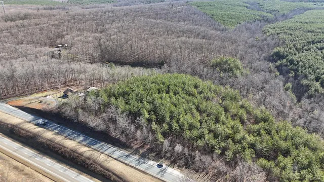 a view of a backyard with plants
