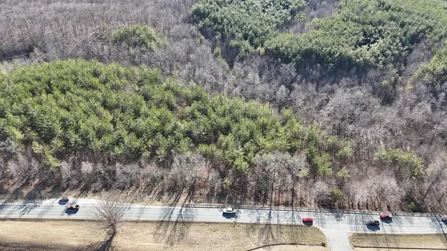 a view of road with large trees