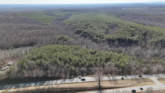 a view of a forest with trees and houses