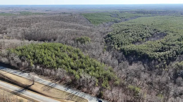 a view of a field of trees and bushes