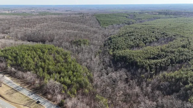 a view of a forest with a street