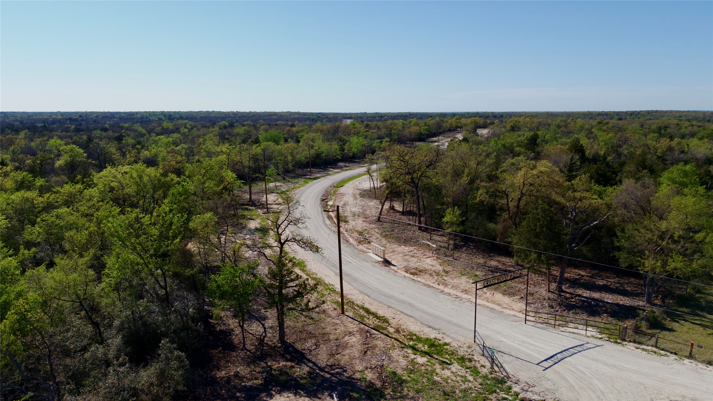100 Pr 617 Roads Kosse, TX 76653 - Photo 17 of 26 Aerial view of a forest