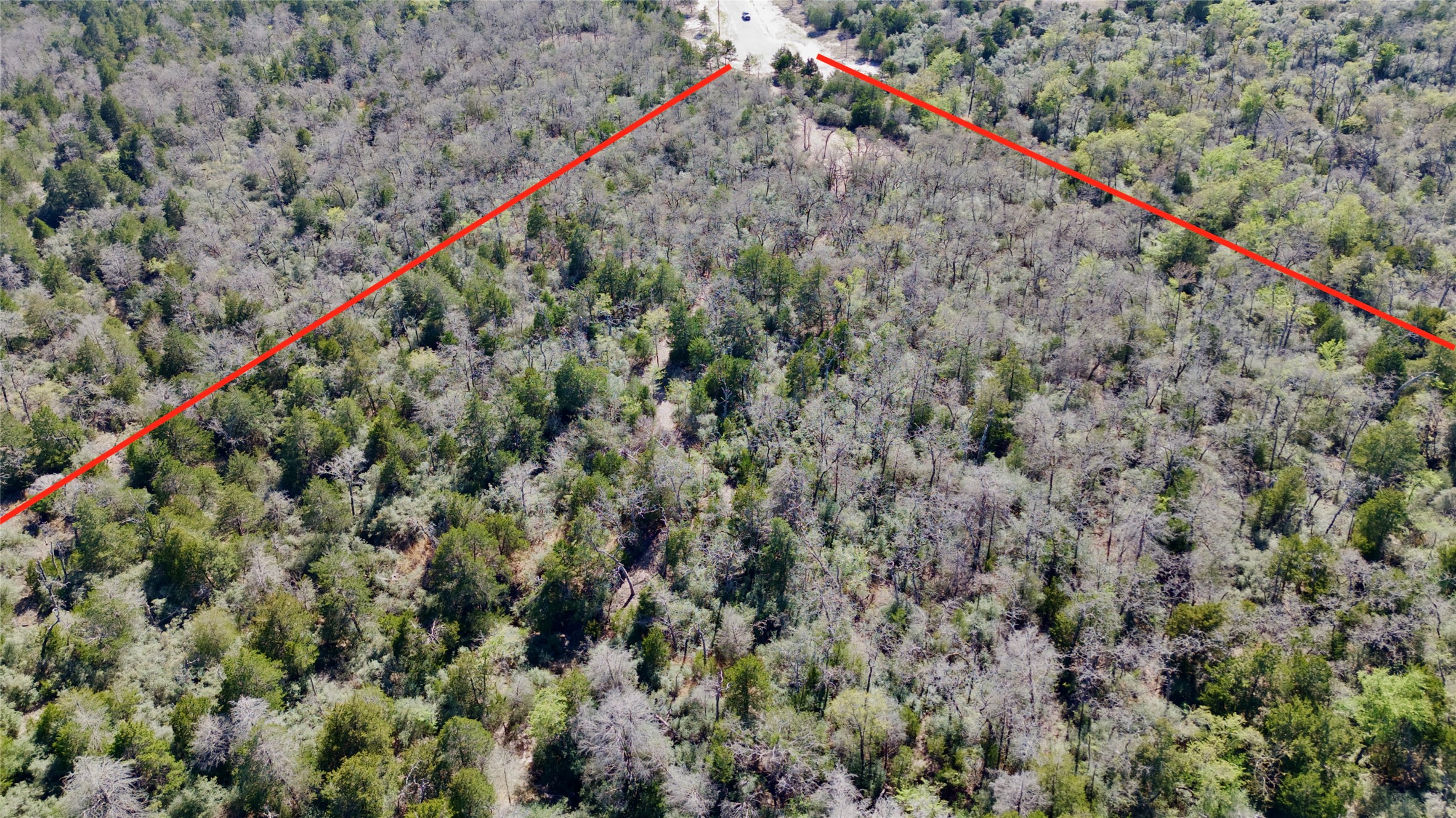 100 Pr 617 Roads Kosse, TX 76653 - Photo 20 of 26 Aerial view of a forest
