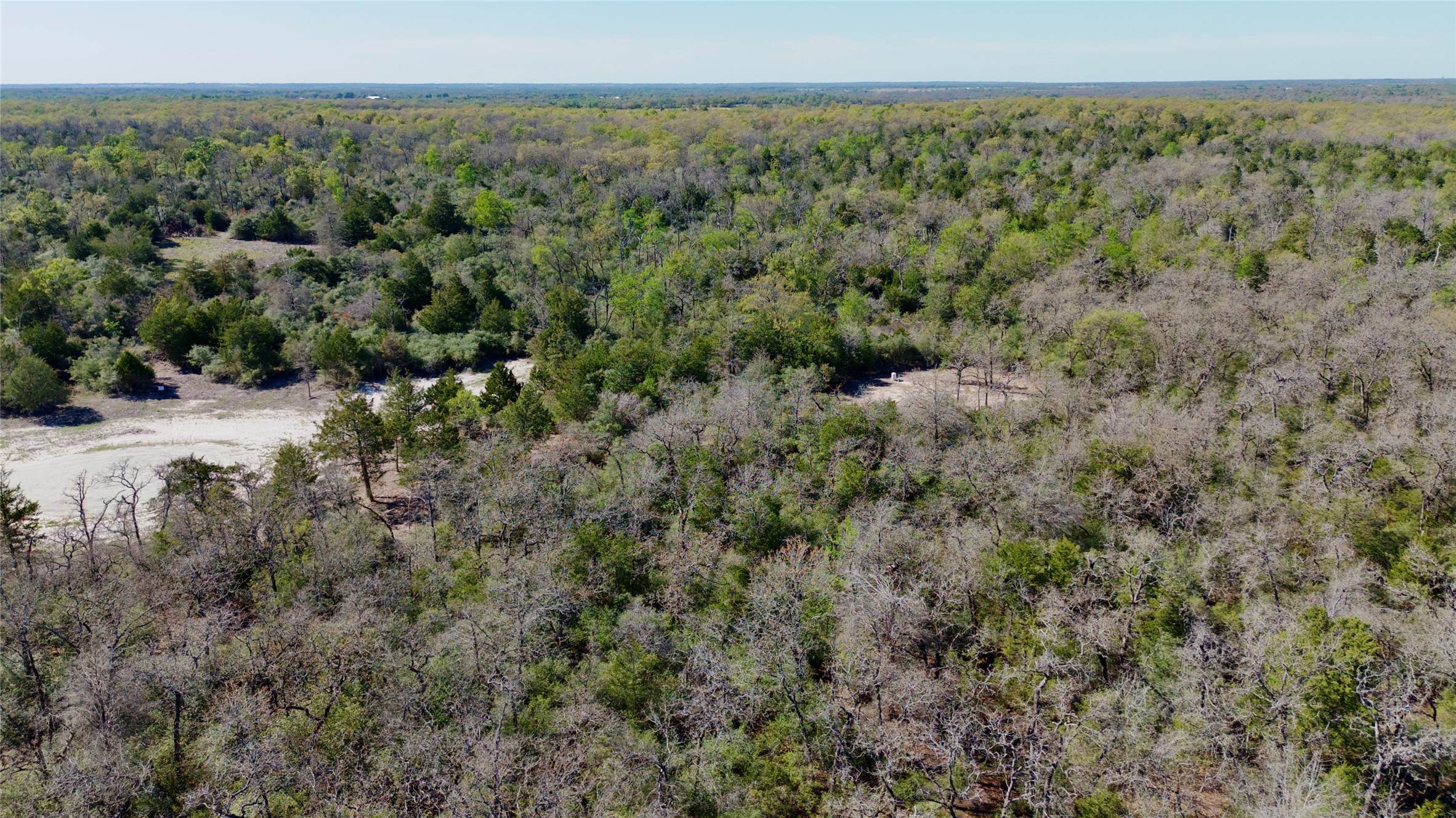 100 Pr 617 Roads Kosse, TX 76653 - Photo 23 of 26 Drone / aerial view of a heavily wooded area