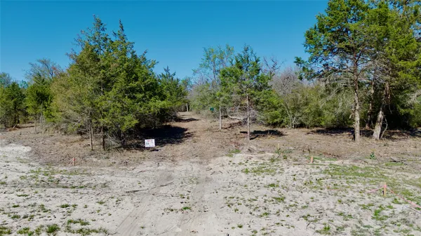 a view of a dry yard with trees