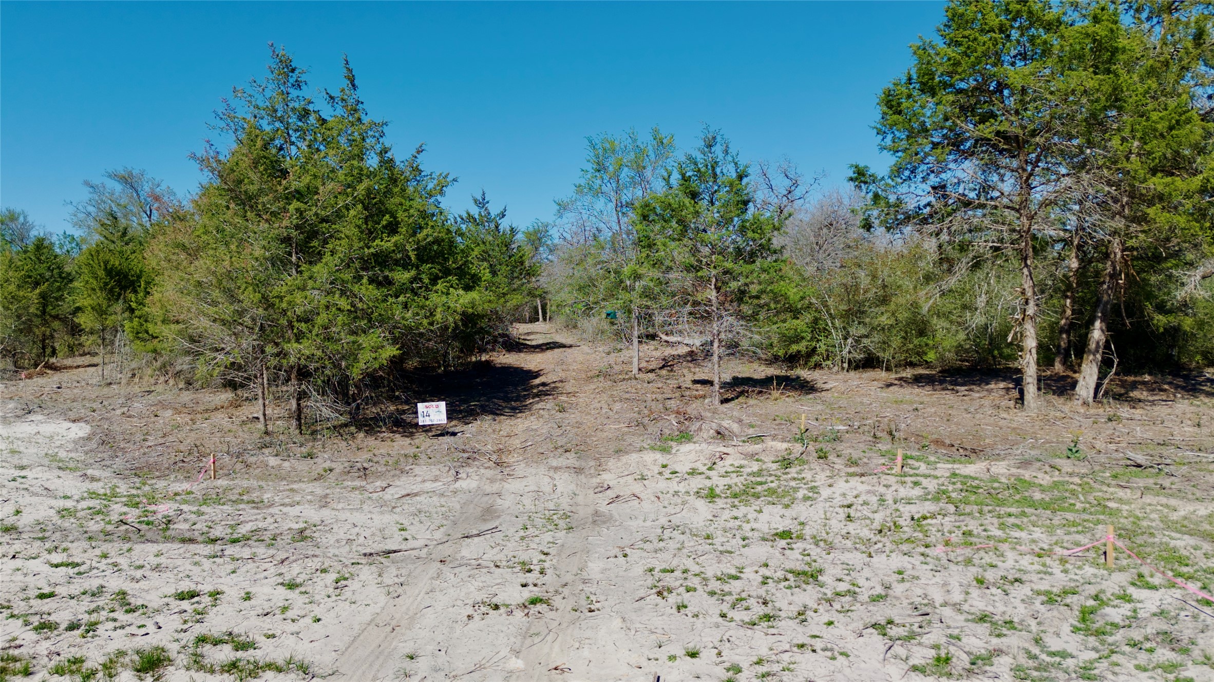 100 Pr 617 Roads Kosse, TX 76653 - Photo 24 of 26 View of local wilderness