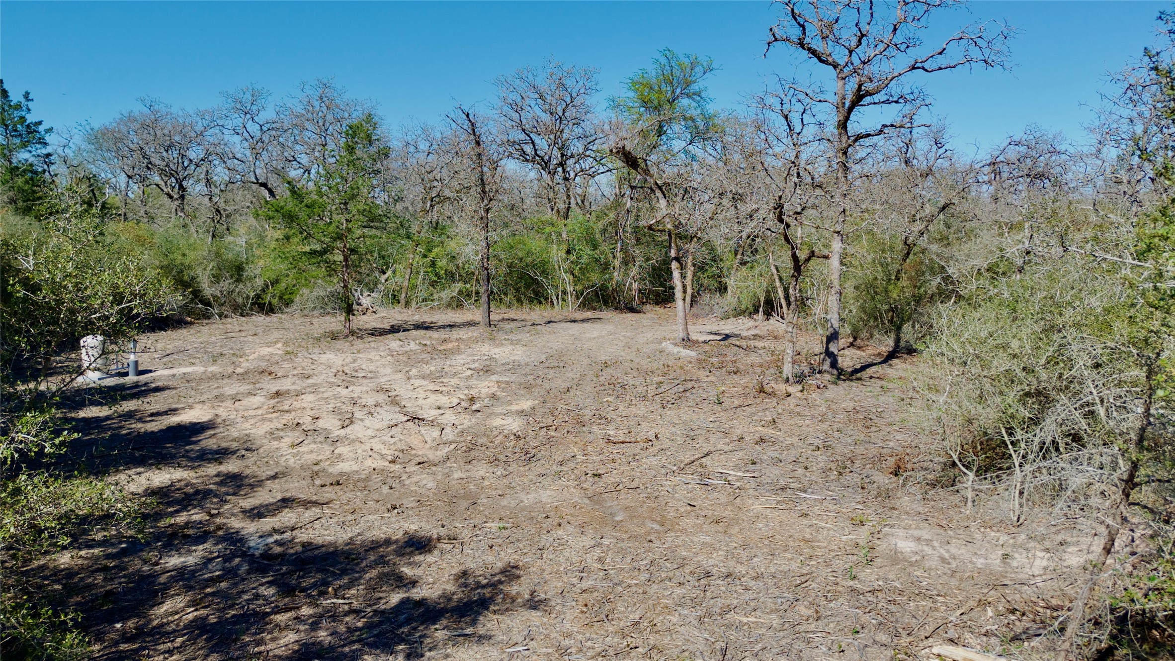 100 Pr 617 Roads Kosse, TX 76653 - Photo 26 of 26 View of local wilderness