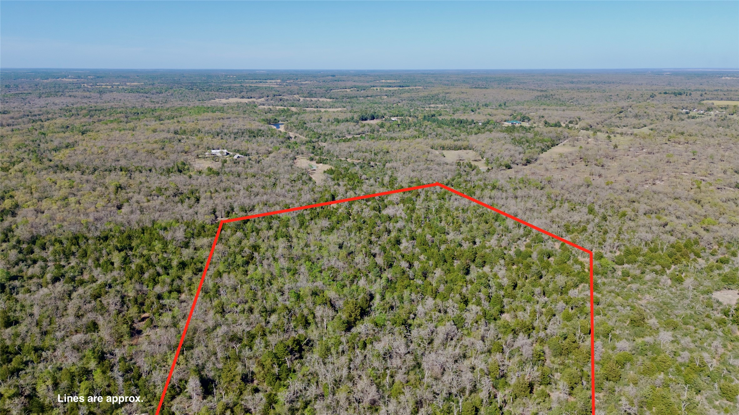100 Pr 617 Roads Kosse, TX 76653 - Photo 5 of 26 Aerial overview of property's location featuring property parcel outlined and a heavily wooded area