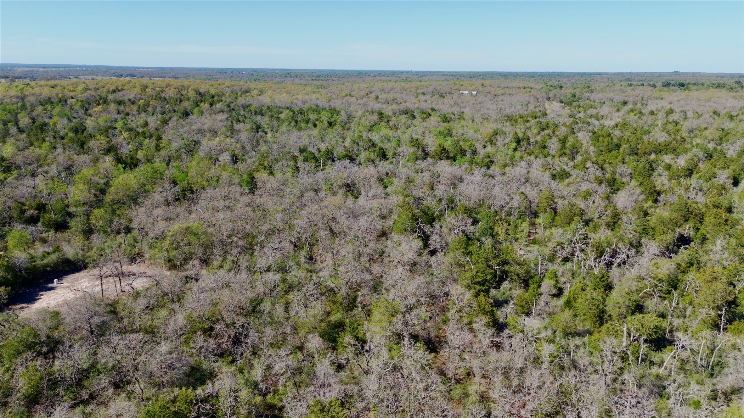 100 Pr 617 Roads Kosse, TX 76653 - Photo 6 of 26 Aerial view of a forest