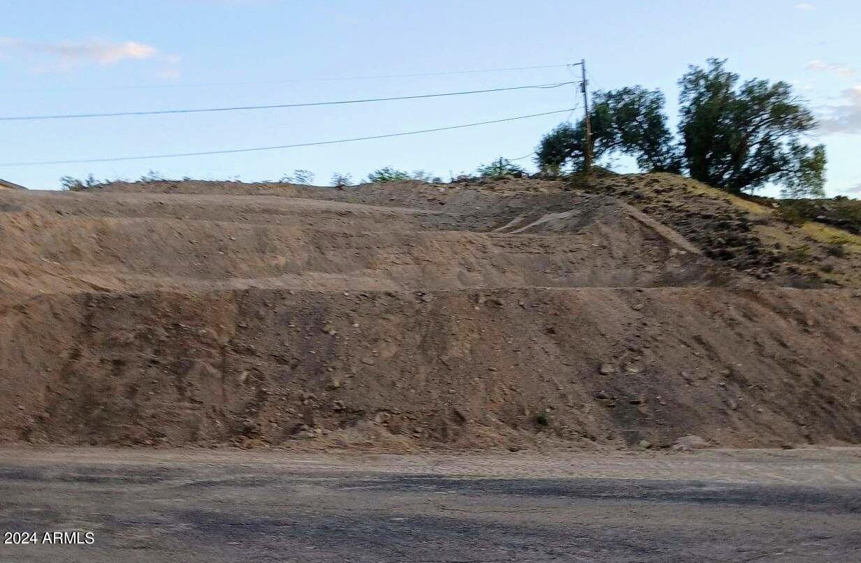 4530 Tanque Verde Drive, Unit 3 Topock, AZ 86436 - Photo 6 of 30 a view of a dry yard with trees