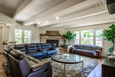 a living room with furniture a fireplace and a potted plant