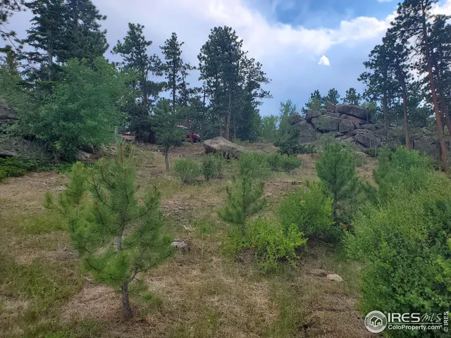 $50,000 | 1532 Fox Acres Drive West, Red Feather Lakes, CO 80545