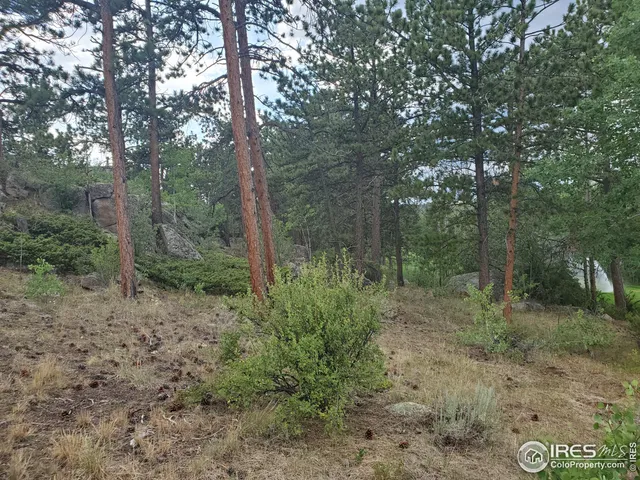 $50,000 | 1532 Fox Acres Drive West, Red Feather Lakes, CO 80545