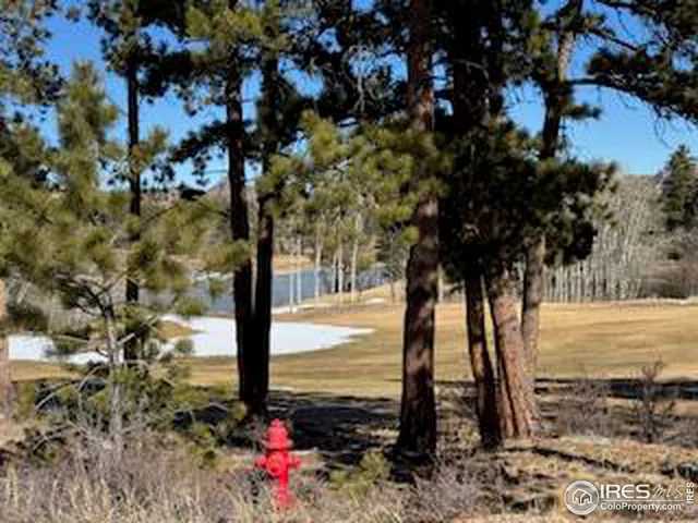 $50,000 | 1532 Fox Acres Drive West, Red Feather Lakes, CO 80545