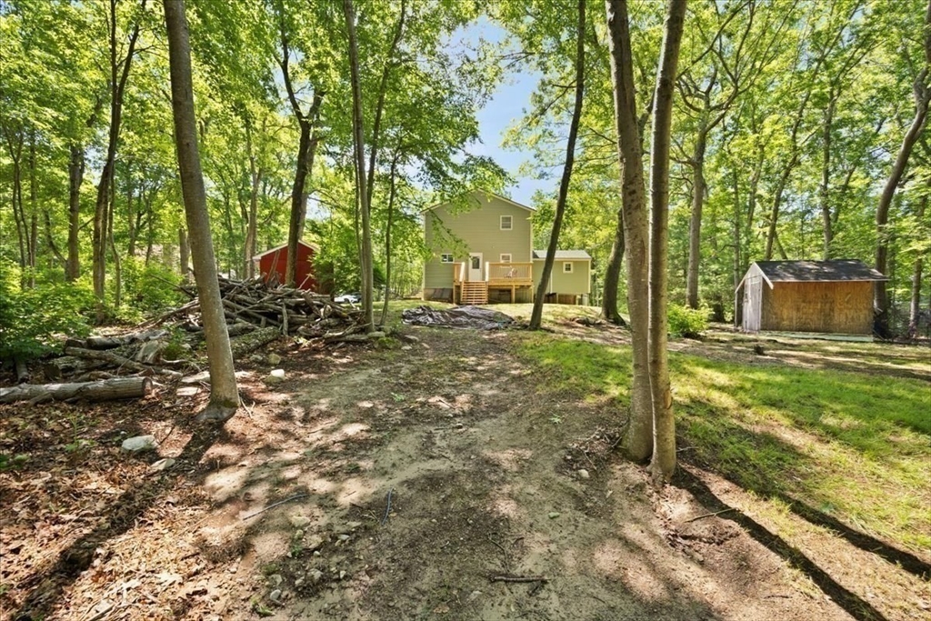 115 Douglas Road Webster, MA 01570 - Photo 39 of 42 a backyard of a house with lots of plants and large tree