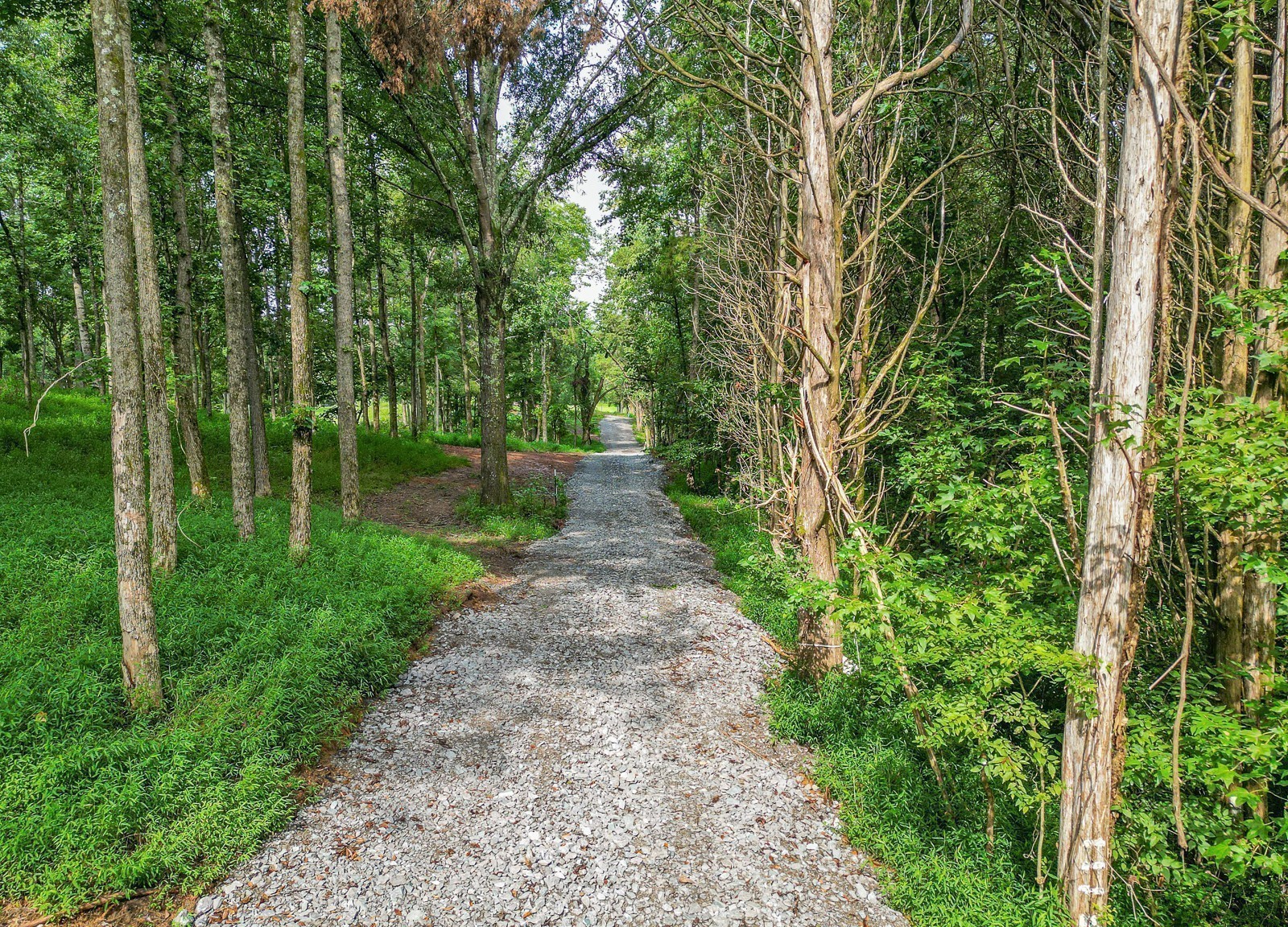 0 Flippen Road Lebanon, TN 37087 - Photo 4 of 37 Gallery Image 4