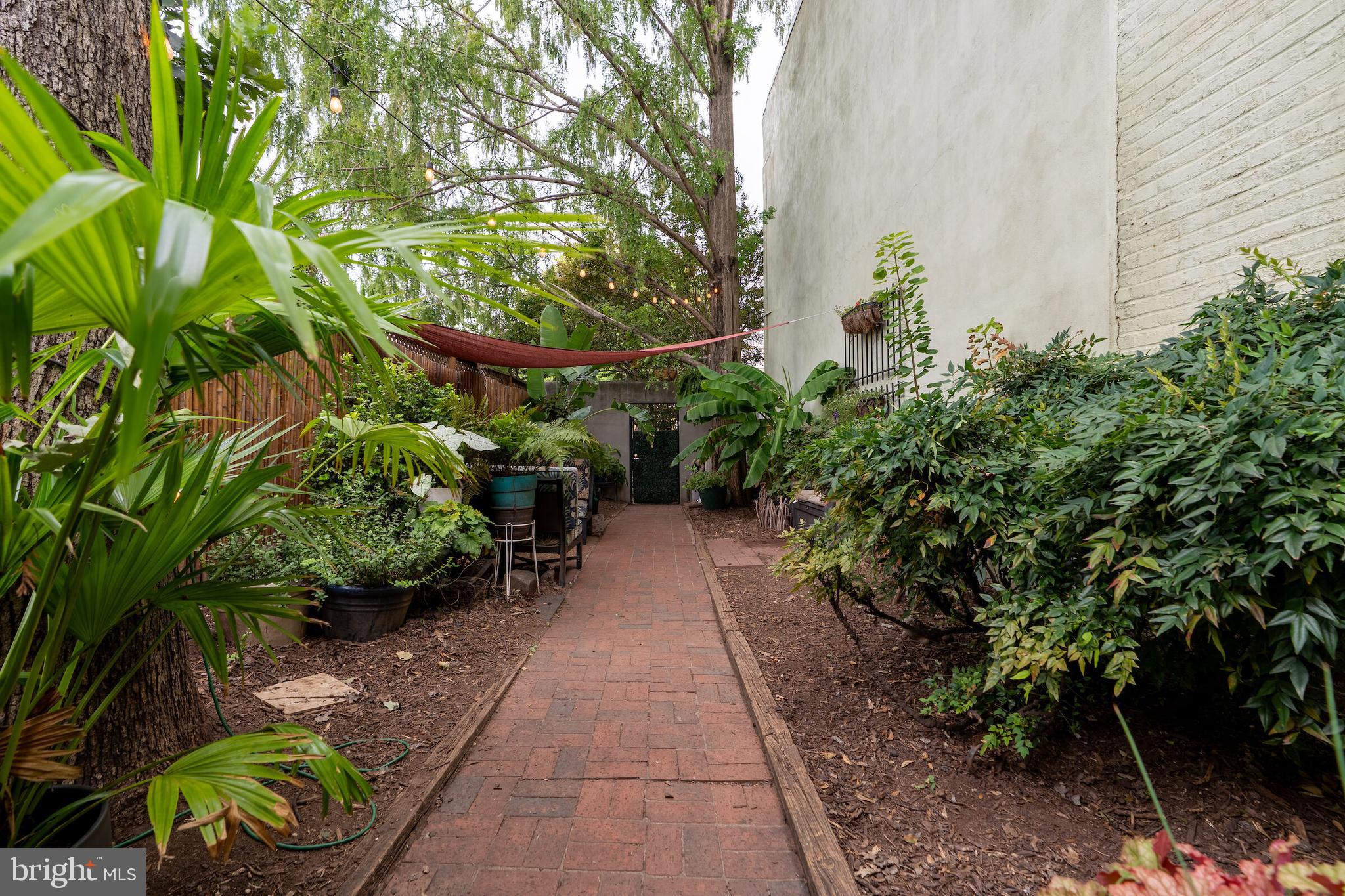 1307 6th Street Northwest Washington, DC 20001 - Photo 4 of 31 front garden
