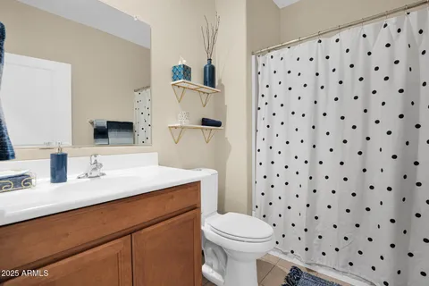 a bathroom with a sink a toilet a shower and a mirror