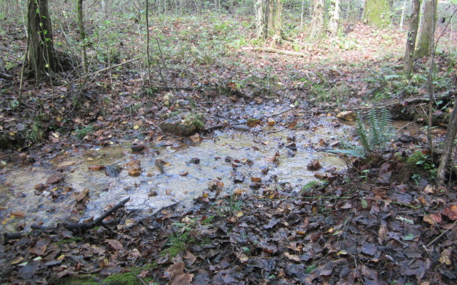 Lt15 Blue Springs Road Ellijay, GA 30540 - Photo 1 of 1 Main View